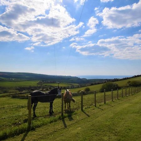 1 Bed In Boscastle Lpenc Villa Kültér fotó