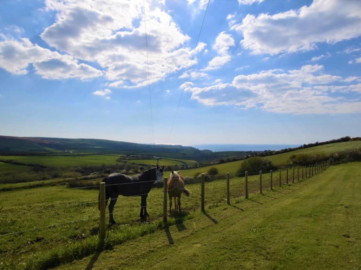 1 Bed In Boscastle Lpenc Villa Kültér fotó